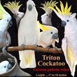Baby Sulphur crested cockatoo for sale . в Каратау